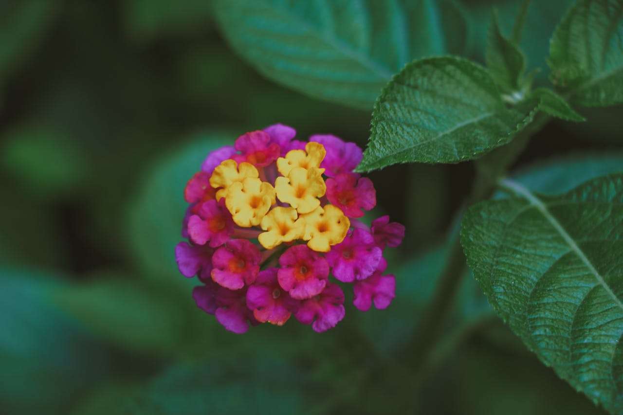 客户投诉别慌！9个英文售后回复邮件模板教你专业应对