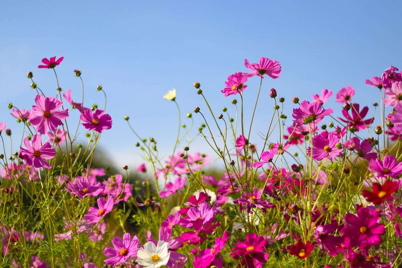 客户迟迟不回复？试试这7个高回复率英文跟进邮件模板