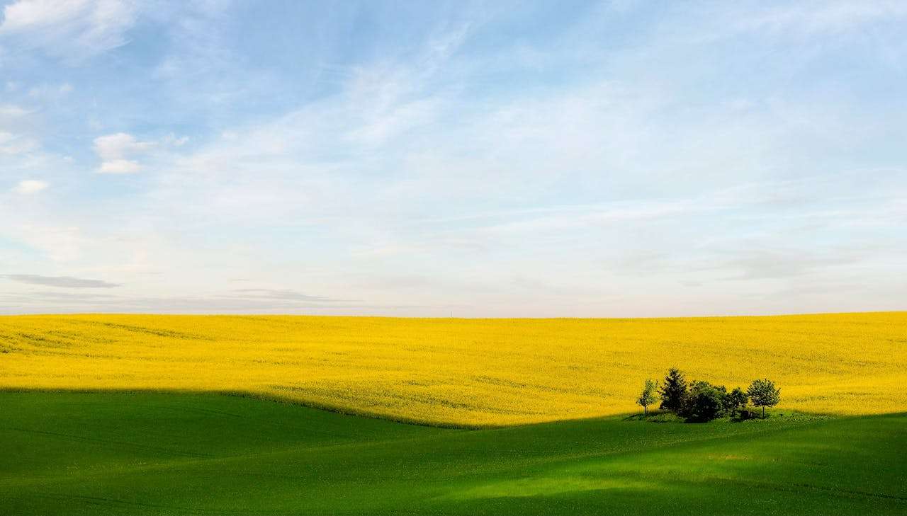 长期合作靠沟通：7个英文客户维护与关系建立邮件模板