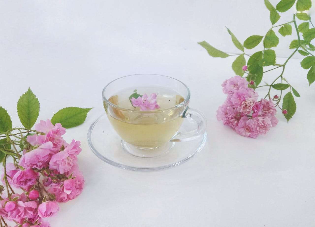 拿下大客户的关键：5个英文报价与议价邮件模板深度解析