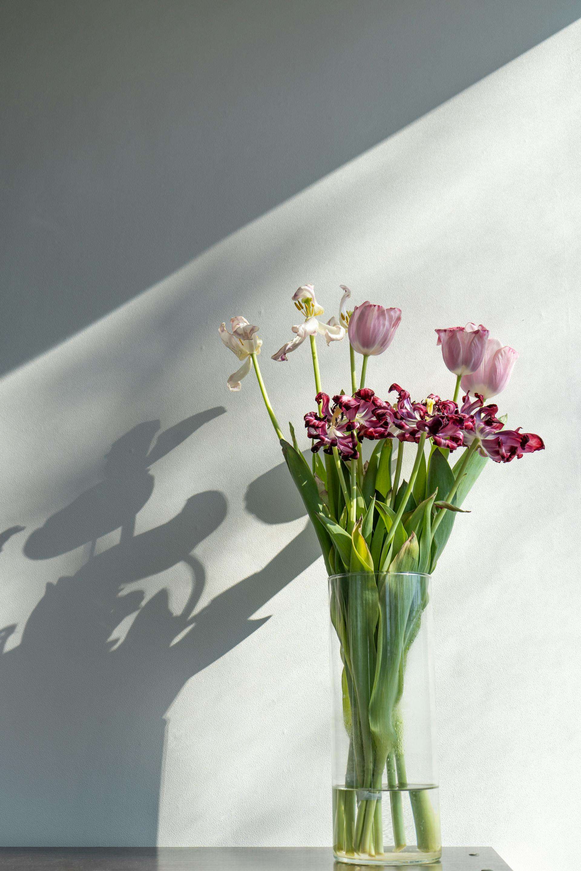 样品寄送全流程：9个英文样品申请与确认邮件模板