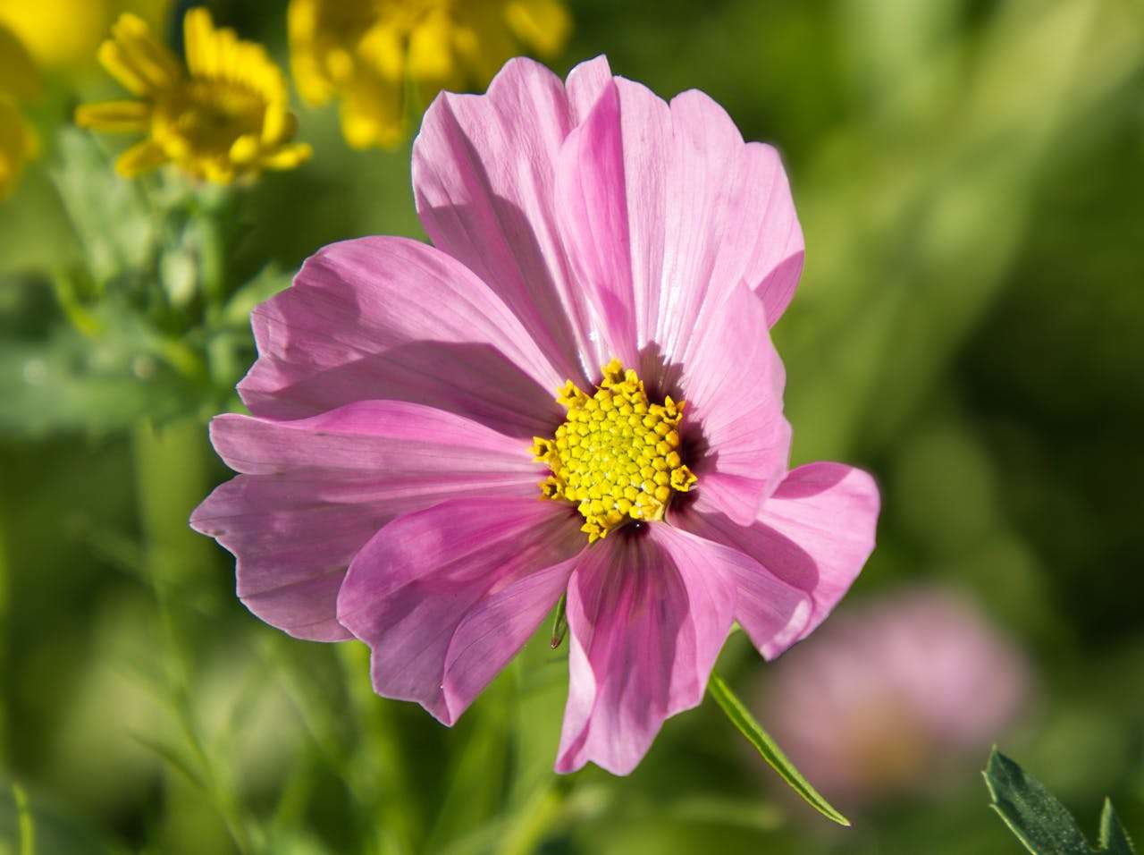 科技与生活：高中生必看的6篇英语作文 