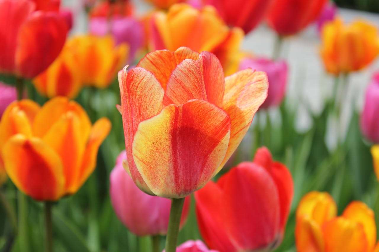 样品寄出后怎么跟进？5个英文样品确认邮件模板，加速成交