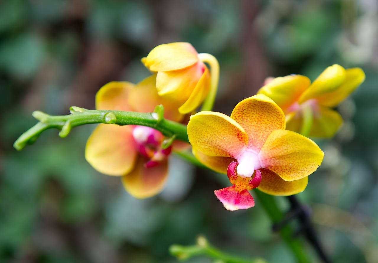 高效沟通利器：15个简洁有力的英文商务邮件模板