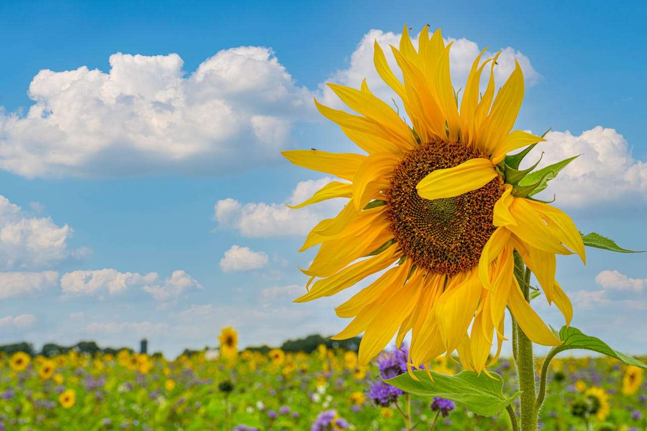 样品寄送怎么写？8个英文样品跟进邮件模板，加速客户决策