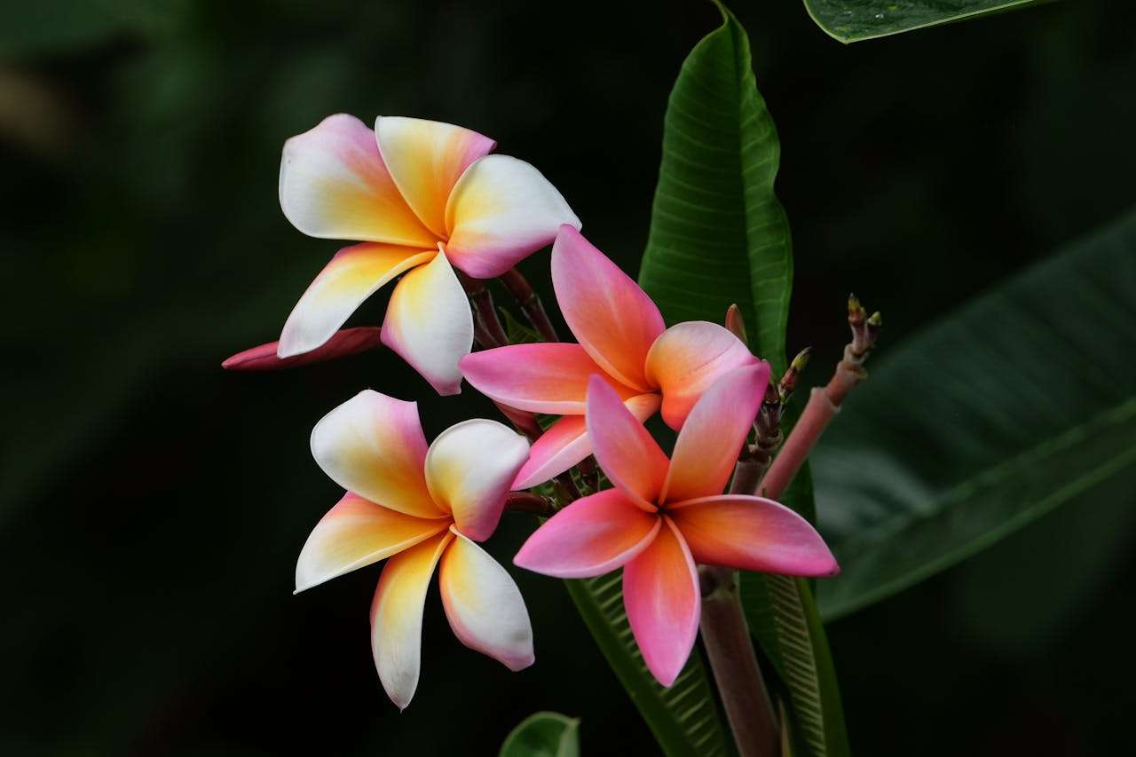 付款问题全攻略：9个英文催款与付款确认邮件模板