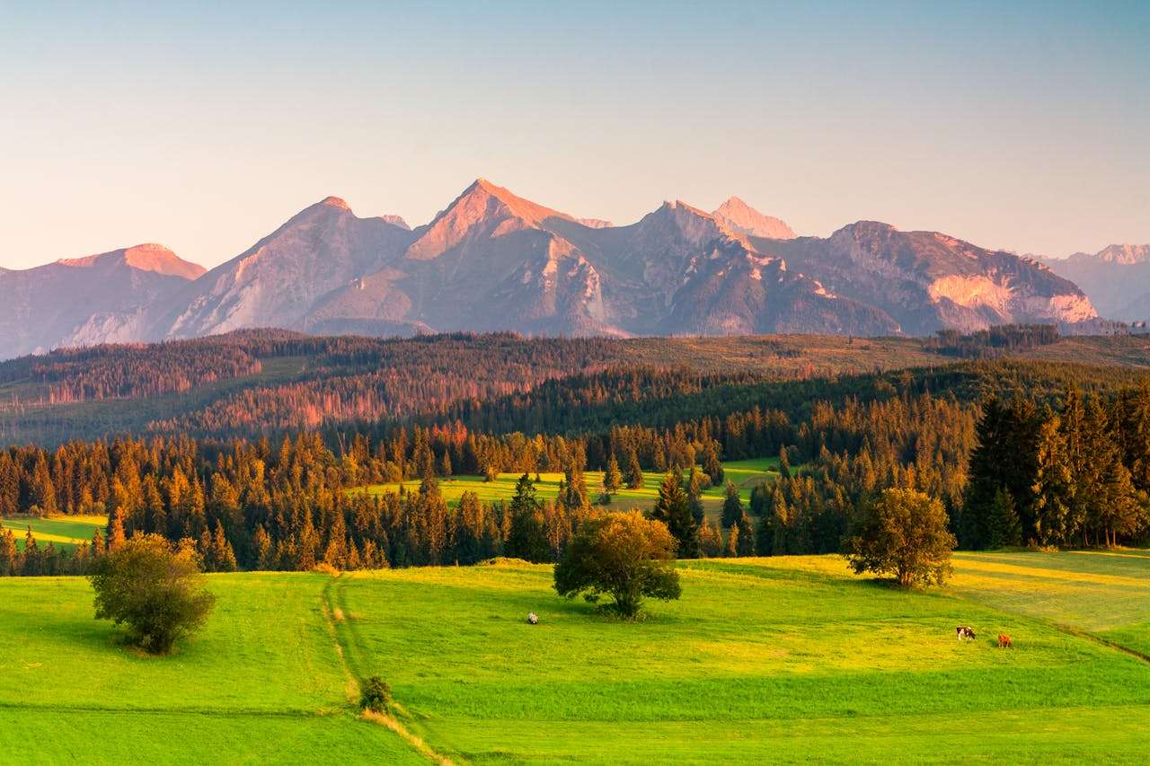 物流问题怎么写英文邮件？10个实用模板帮你专业应对