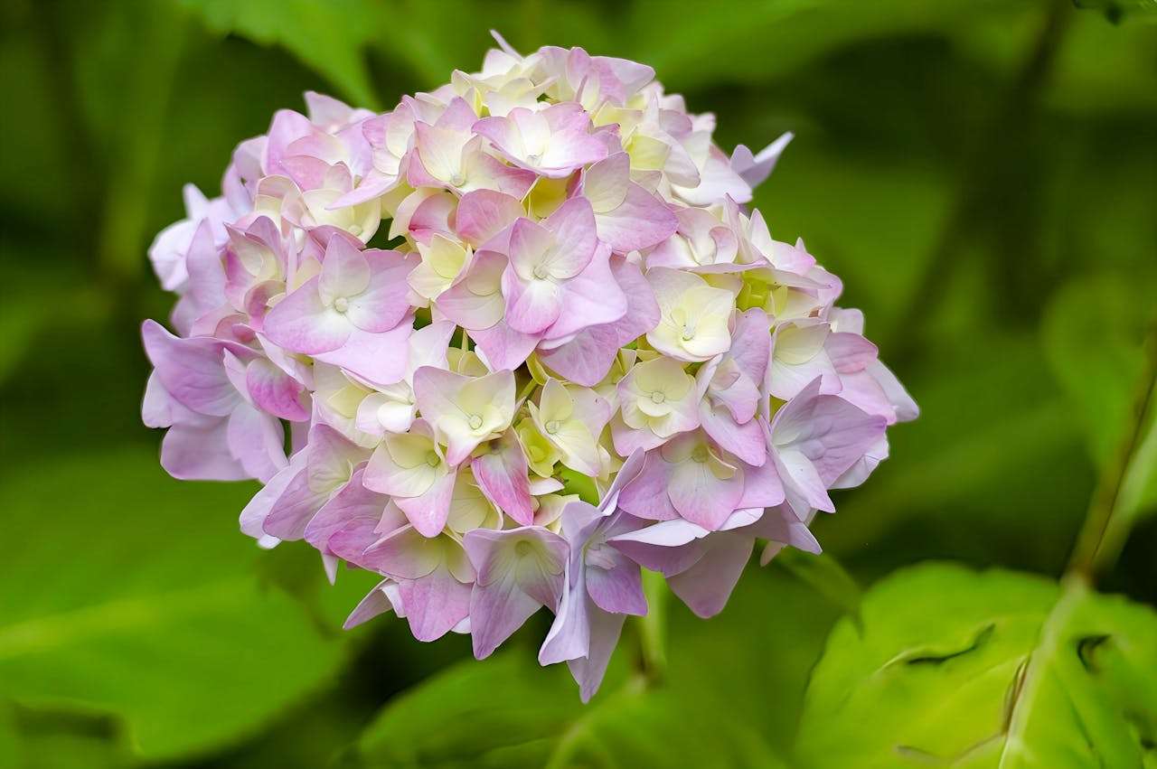 梦想与未来职业：5篇励志高中英语作文