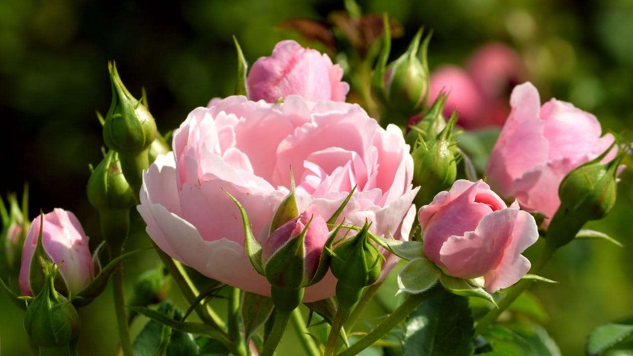 观点表达类作文：“中学生是否应该做兼职”正反英语作文4篇