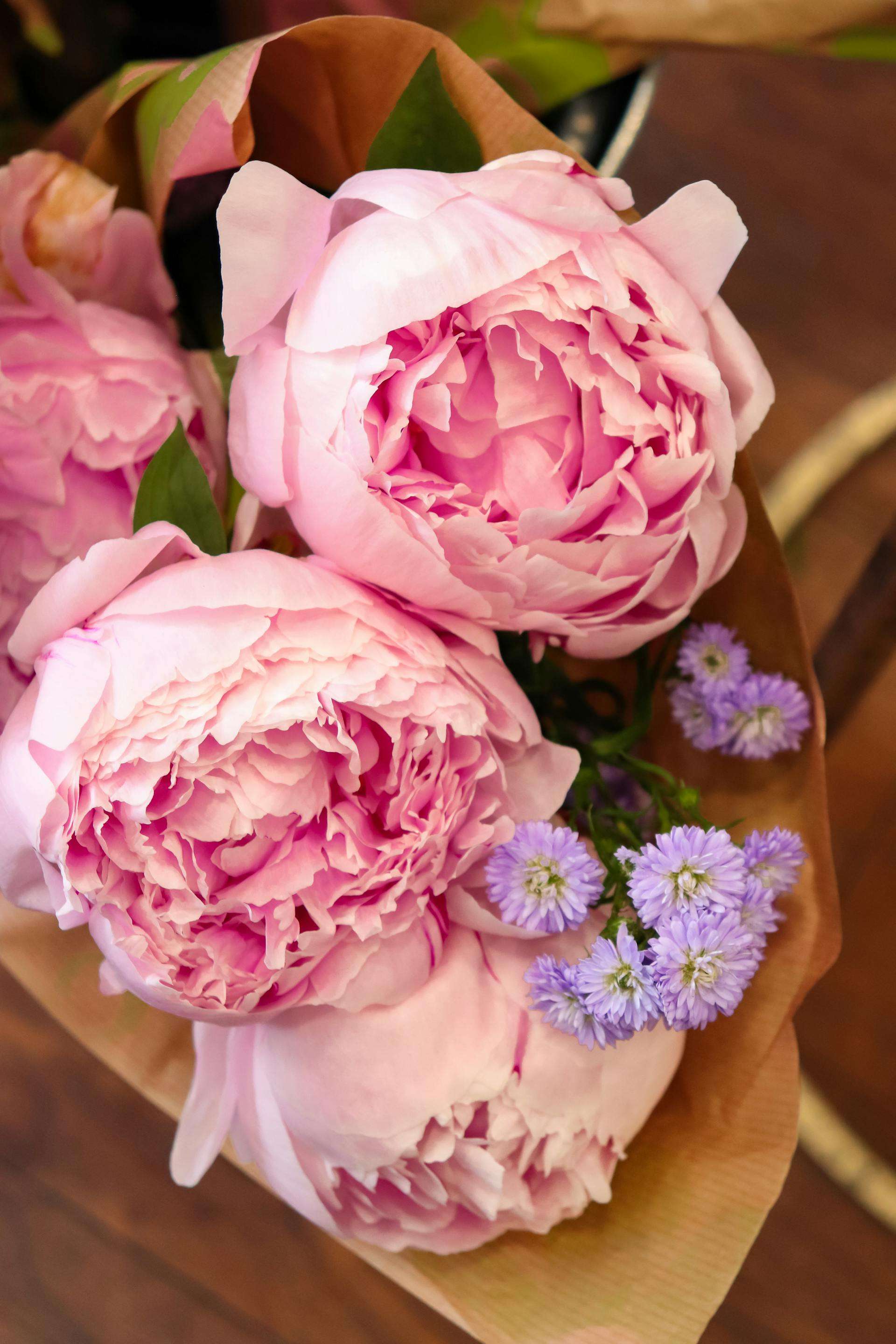 物流问题不用愁：7个英文物流沟通邮件模板，客户秒懂不投诉