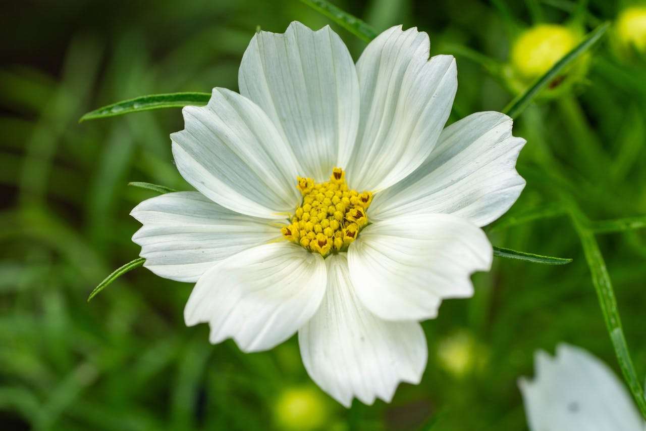 物流沟通无忧：9个英文 shipping 邮件模板全收录