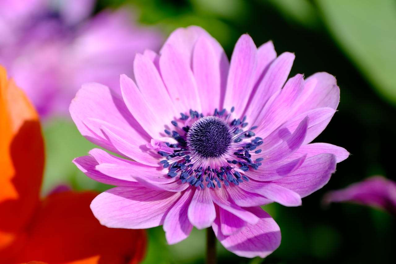 外贸人必备：10个高频英文邮件模板，轻松搞定客户沟通