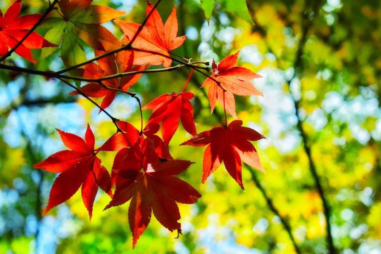 成交利器：12个专业英文报价邮件模板（含PDF下载）