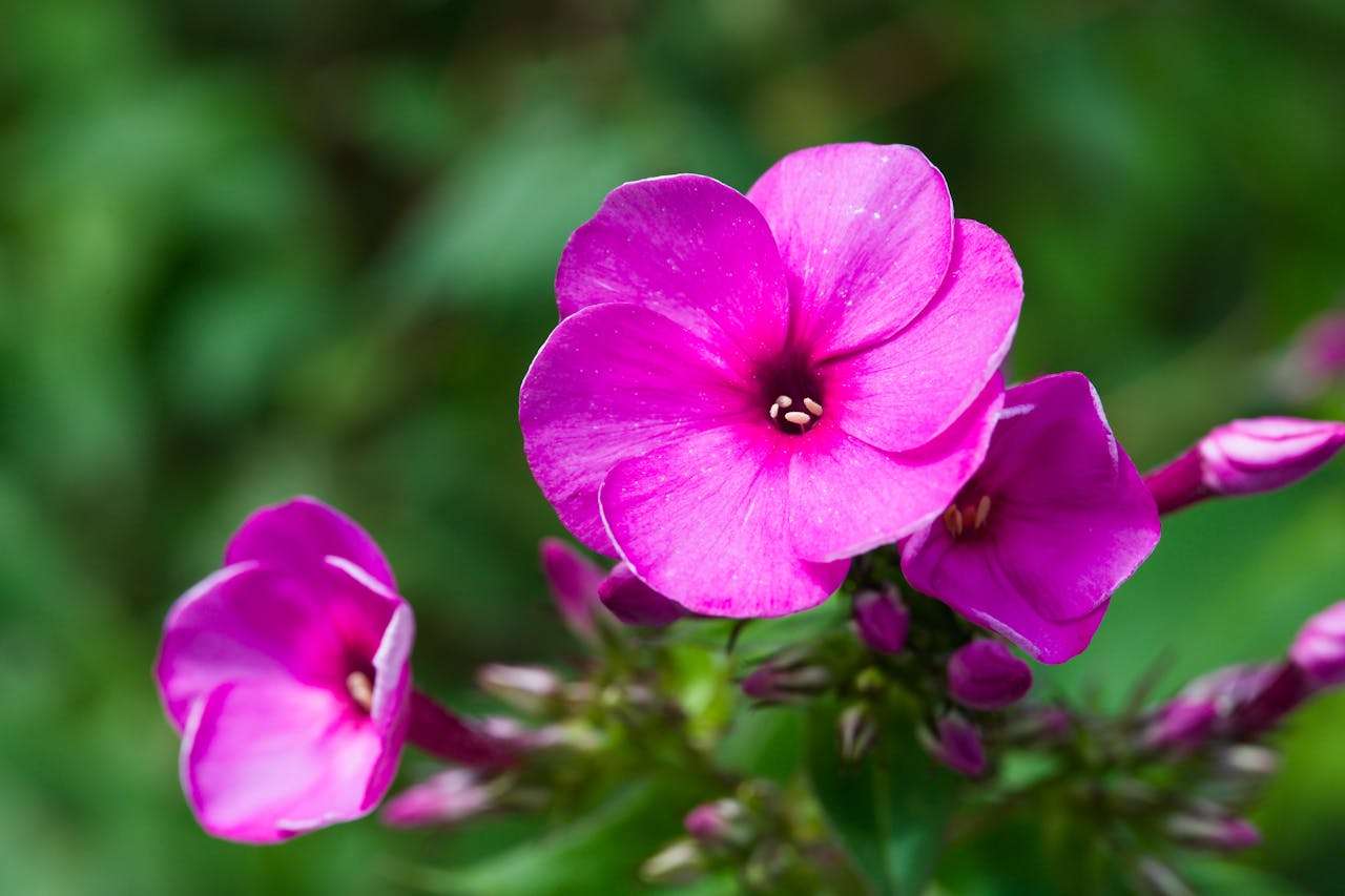 高中校园生活主题英语作文：6篇原创英语作文+中文对照+写作思路解析