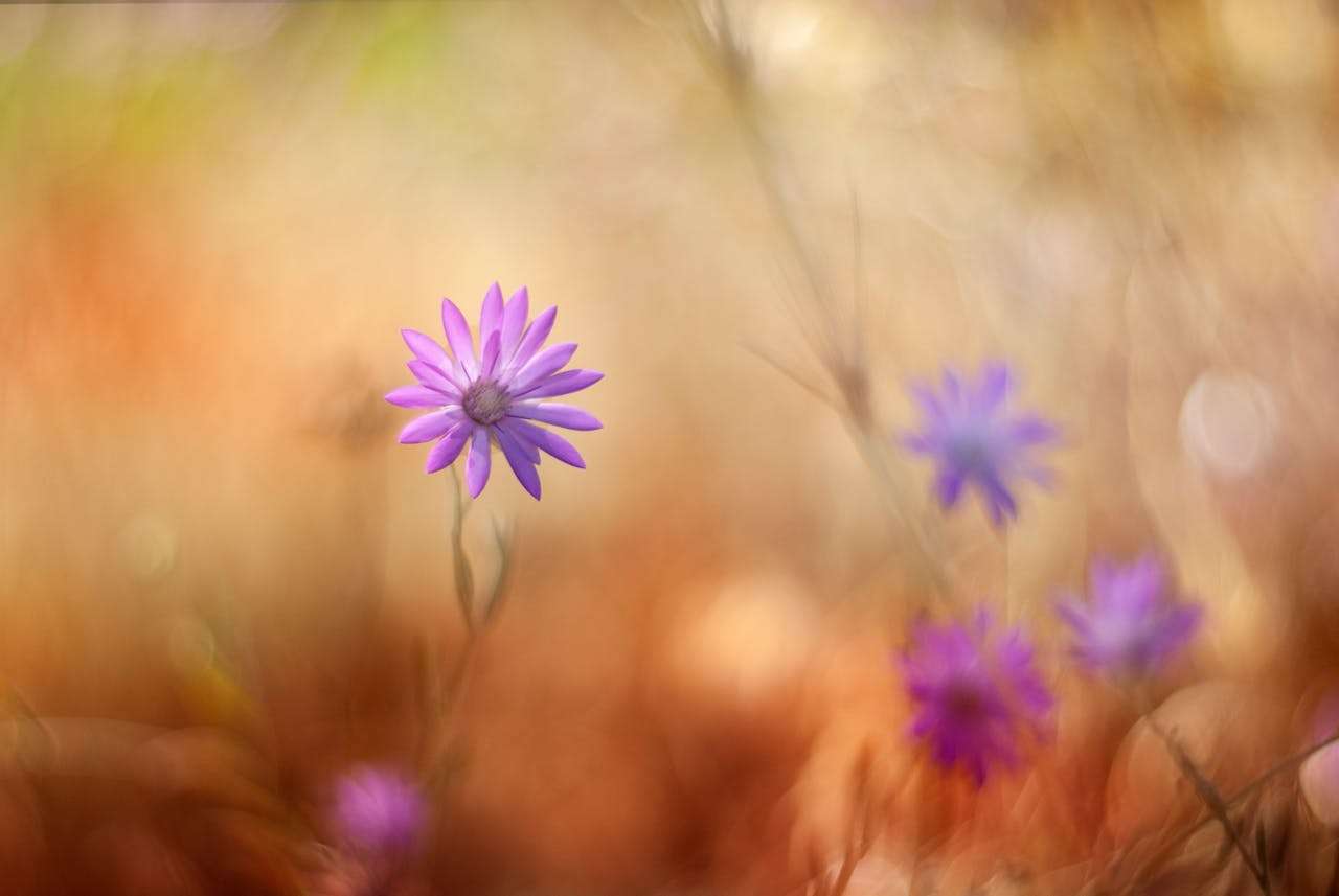 催款不再尴尬：6个专业英文催款邮件模板，礼貌又有效