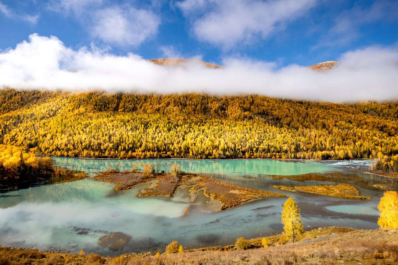 样品寄送全流程：5个英文样品沟通邮件模板，提升客户体验