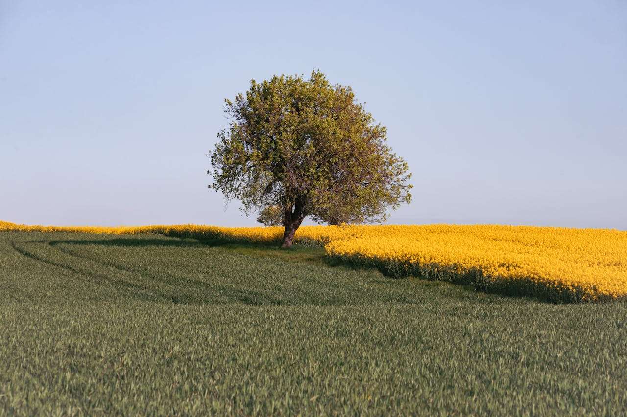 样品寄送不再难：7个英文样品请求与跟进邮件模板