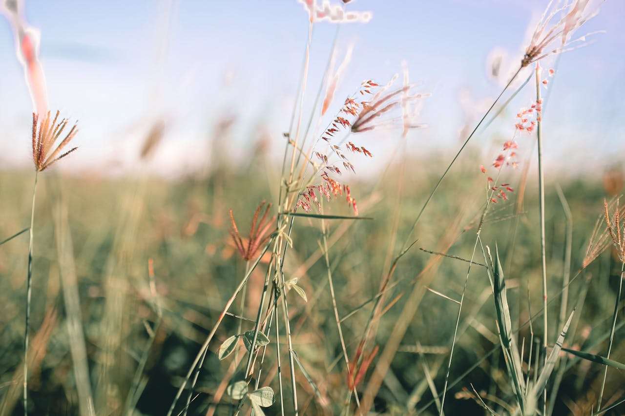 压力与心理健康：5篇高中生英语作文新热点