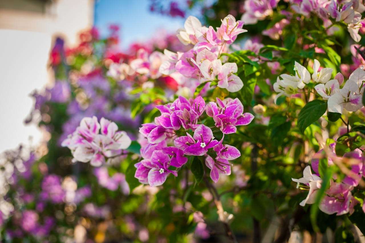 样品寄出后怎么跟进？8个英文样品跟进邮件模板推荐