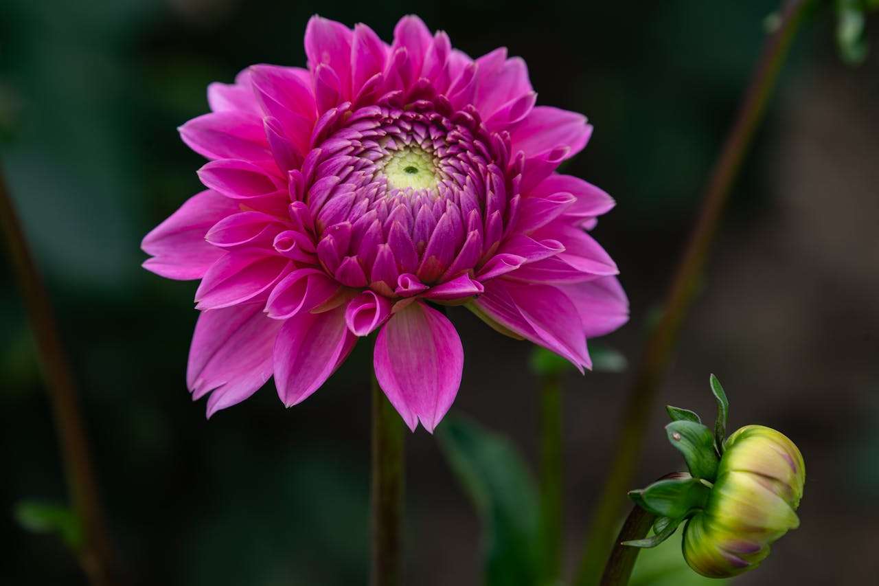 客户迟迟不回复？试试这9个催单英文邮件模板