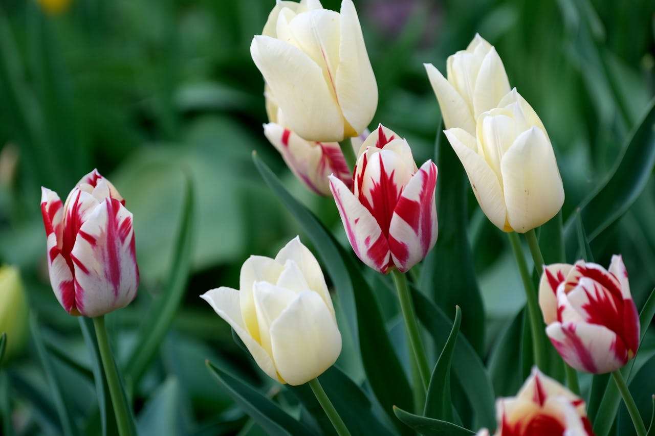 如何学好英语：3篇初中生英语学习经验作文