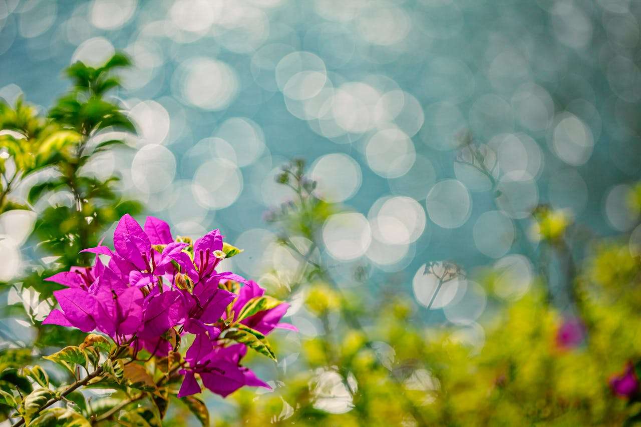 提升专业度：8个英文会议邀约与跟进邮件模板，职场沟通更顺畅