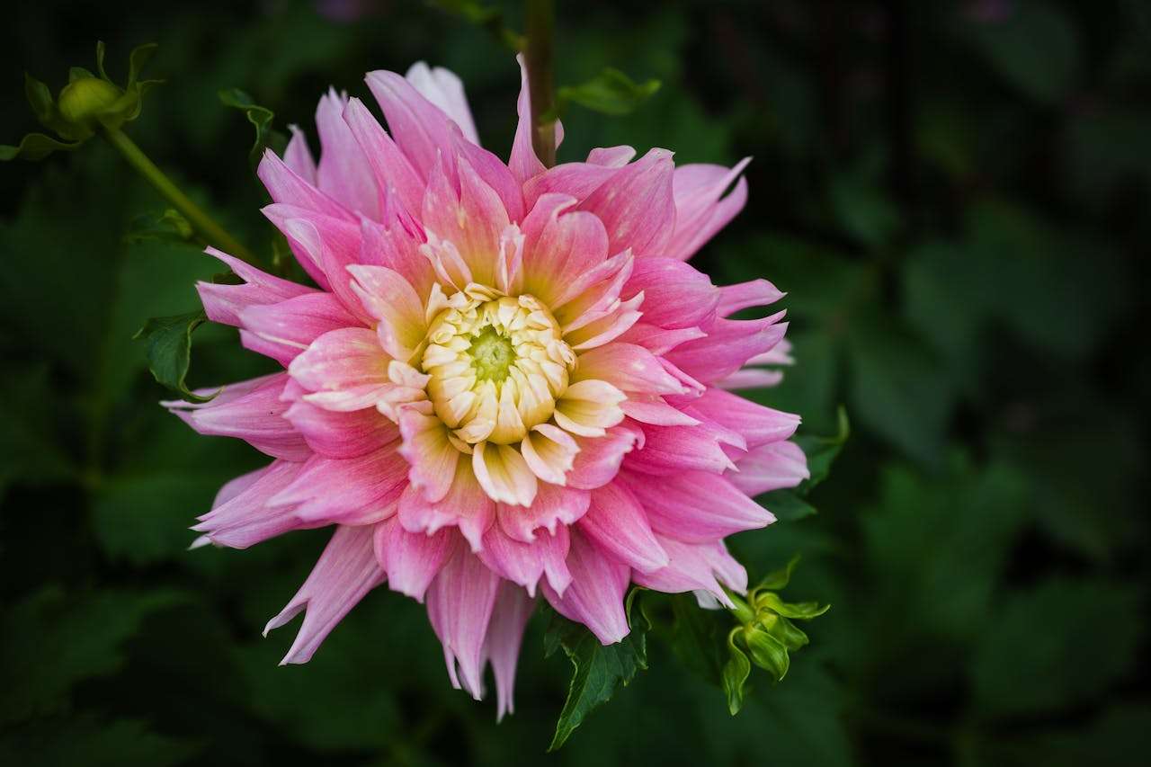 高效办公必备：8个英文会议邀约与纪要邮件模板，提升职场沟通力