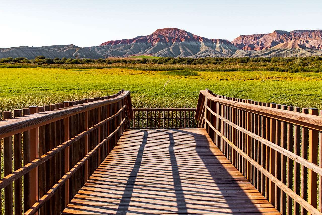 客户迟迟不回邮件？试试这7个英文催款邮件模板，礼貌又有效