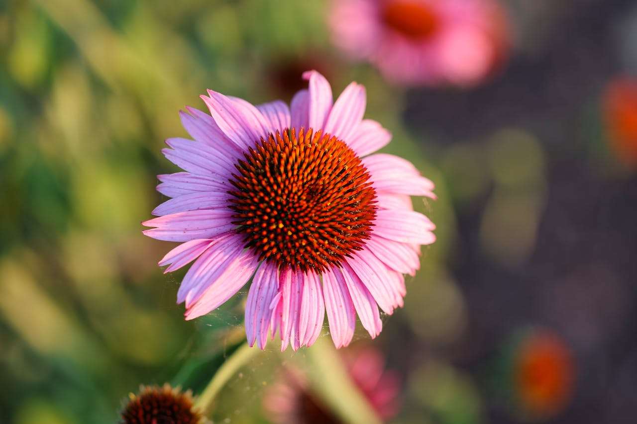 客户迟迟不回复？用这9个英文跟进邮件模板有效唤醒沉睡客户