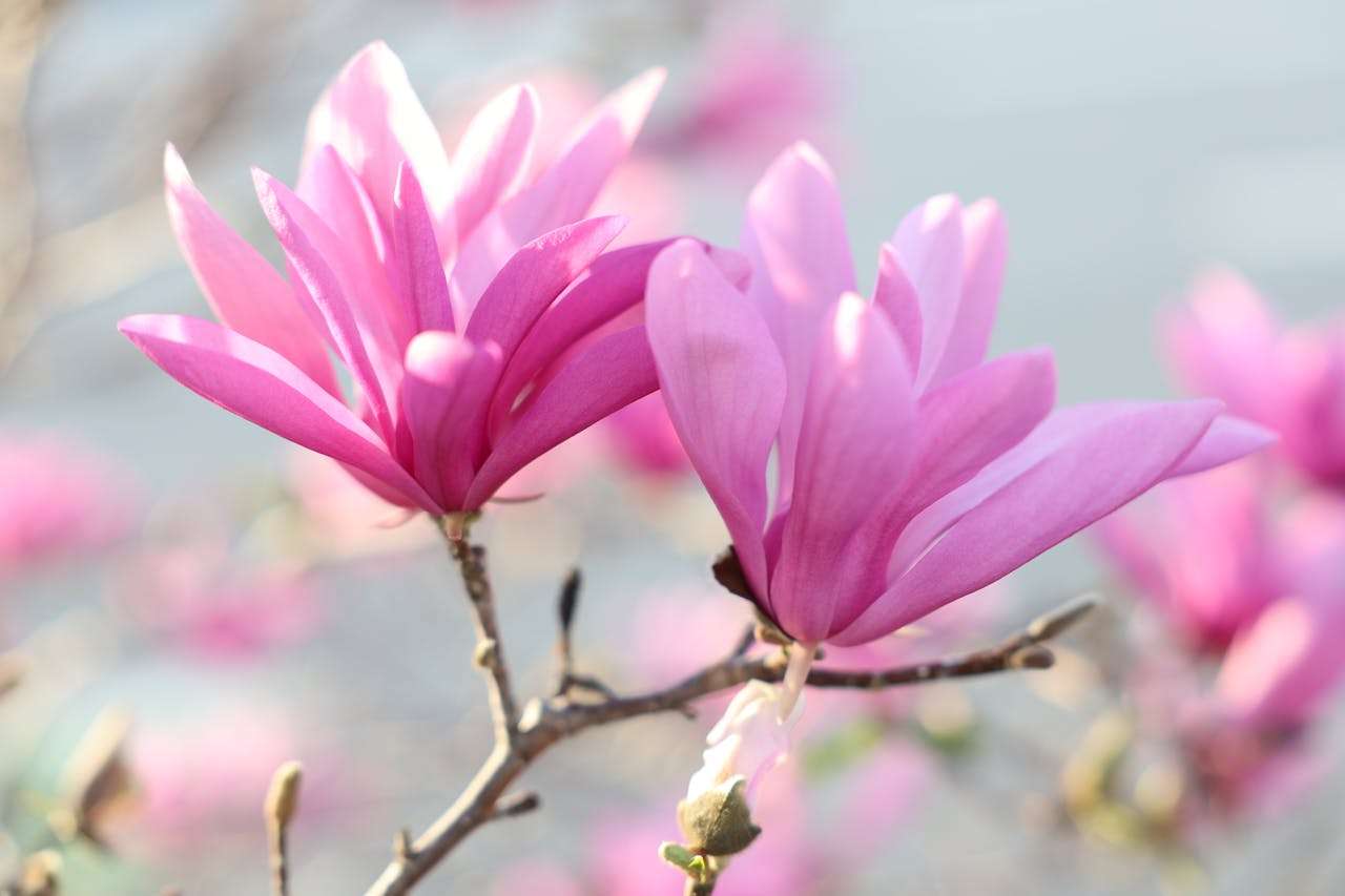 我的假期生活：5篇初中英语作文，轻松写出精彩经历