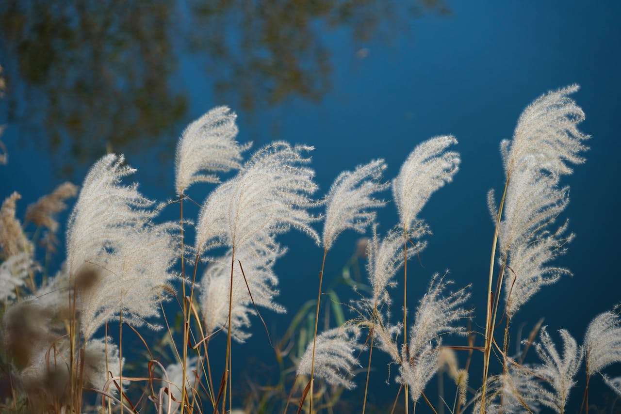 如何写好初中英语作文？5大主题范文+写作指南