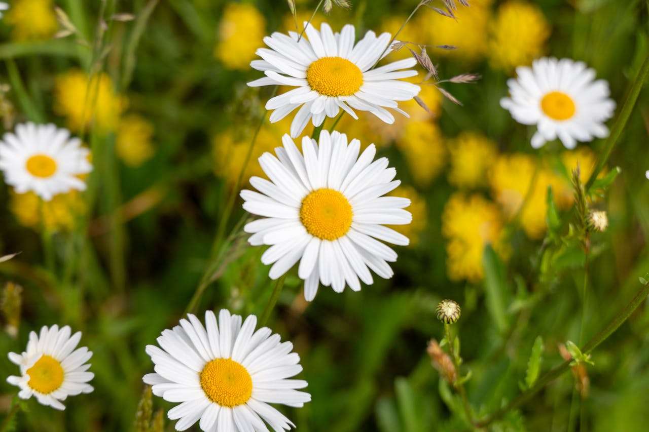 样品寄出后怎么跟进？8个英文样品反馈邮件模板助你加速成单