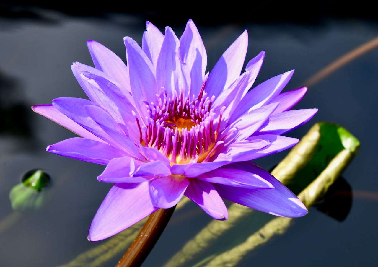 订单出问题怎么办？8个英文问题沟通邮件模板帮你化解危机