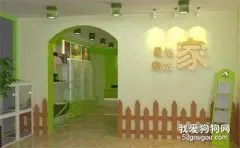 开宠物店的费用介绍及手续办理