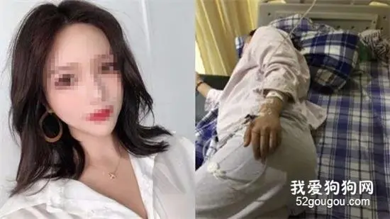 300万粉丝女网红遛狗不牵绳还殴打孕妇