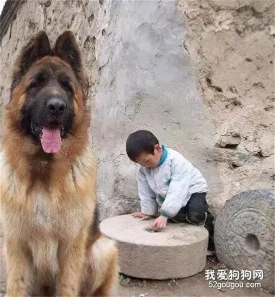 虽然记性不好了，但我永远忘不了你……