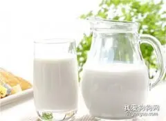 小狗饭里要不要加上牛奶？