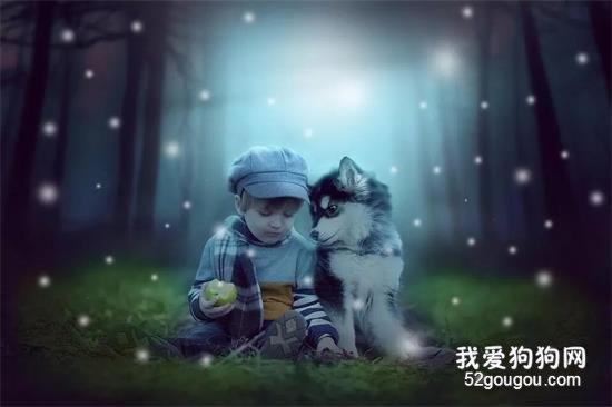 孩子与狗狗，世界上最纯真的心灵