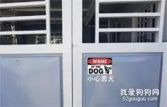 网友碰到一只很凶的“饿犬”，刚靠近它就躲得远远的，笑喷了.....