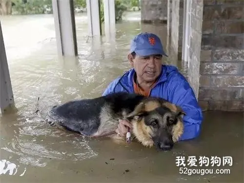 今天，我的狗和我兜里的2块2是我全部的财富。