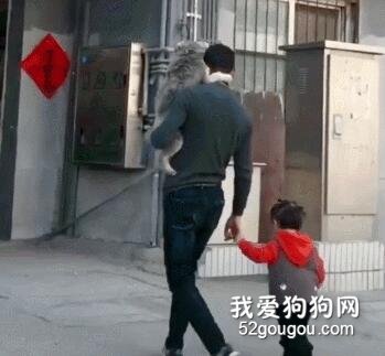 男子一手抱狗一手牵女儿！网友：看不懂，这到底谁是亲生的？