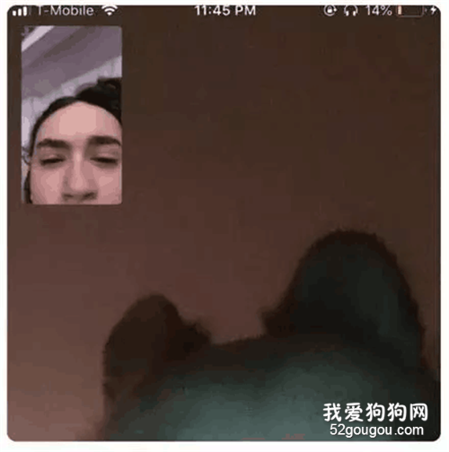 和闺蜜聊天意料之外睡着，醒来多了一张狗脸，太