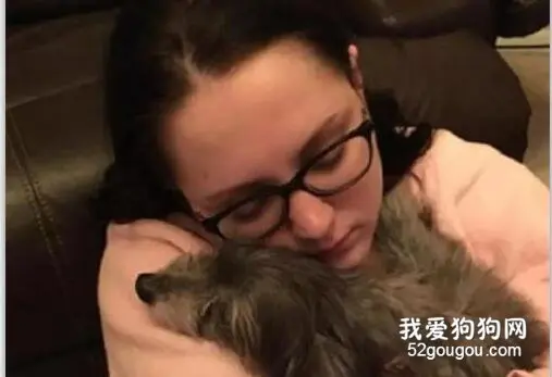 妹子想领养一只狗狗，没想到遇上了七年前被家人送走的爱犬！