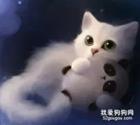 猫咪胃肠炎的病因分析