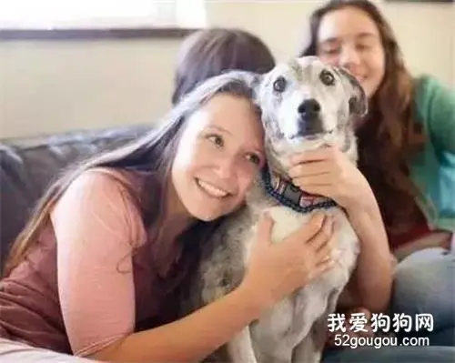 养一只比自己还好看的狗，是一种怎样的体验....