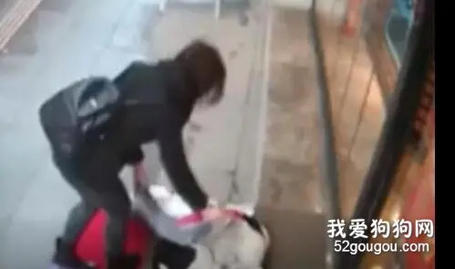 天气很冷，人心很暖！女子路过狗狗留下了一片温暖…