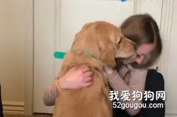试问谁不想有个这样的狗子，治治心里的苦呢！