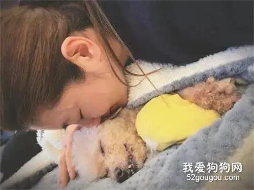 陪伴selina 十几年的爱犬离世，她发文称：我爱你如同你爱我一样！