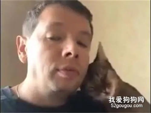 如果猫咪突然对你撒娇卖萌，那肯定是有原因的…