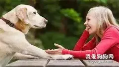 为什么狗狗比猫咪更喜欢亲近人类？